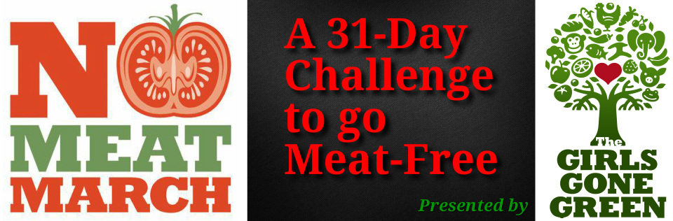 Back for 2014 – No Meat March in Jacksonville (and around the world!)